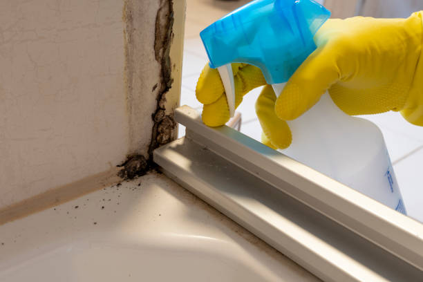 Best Commercial Mold Remediation in Rancho Murieta, CA