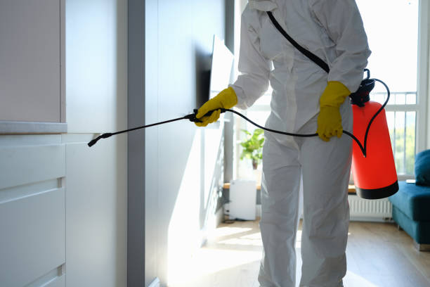 Best DIY Mold Remediation Support Services in Rancho Murieta, CA