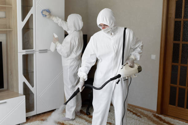Best Mold Remediation for Specific Building Types in Rancho Murieta, CA