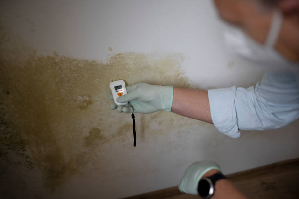 Best Mold Testing and Inspection Services in Rancho Murieta, CA