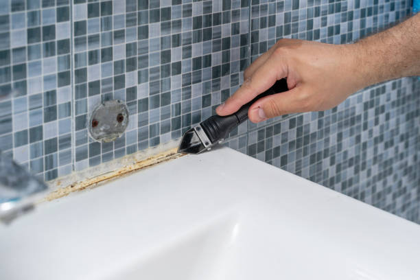 Best Industrial Mold Remediation in Rancho Murieta, CA